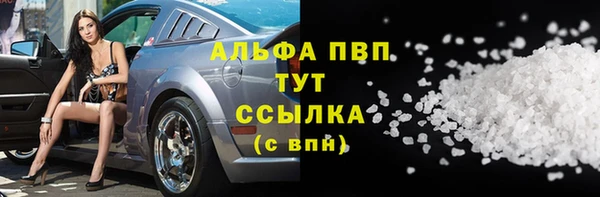 стаф Арсеньев
