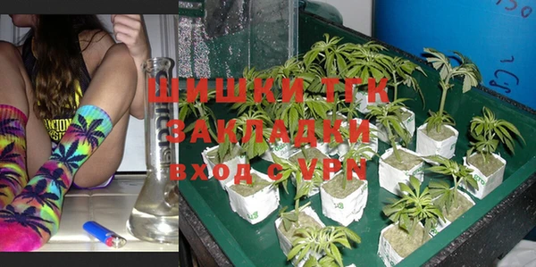 стаф Арсеньев