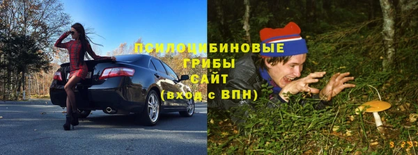 стаф Арсеньев