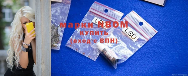 стаф Арсеньев